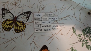 Night is Blush magnet poem (2)