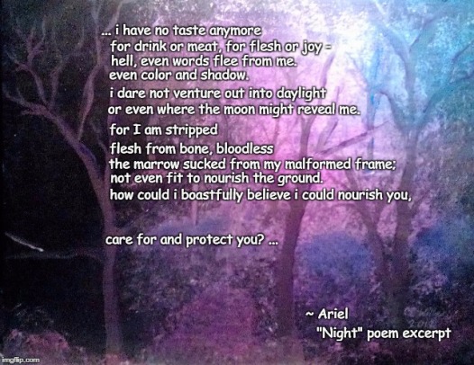 Night poem meme 002