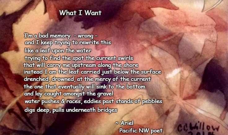 What I Want poem meme by Pacific NW Poet Ariel